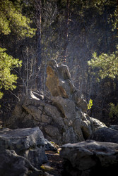 Similar image 22150151