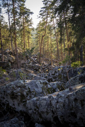 Similar image 22150152