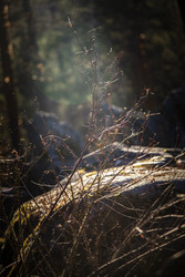 Similar image 22150153