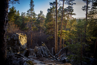 Similar image 22150154