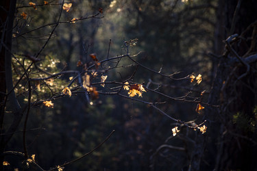 Similar image 22150155