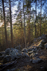 Similar image 22150157