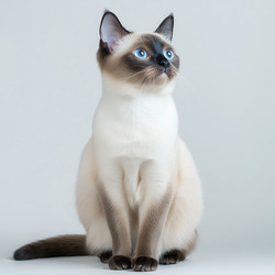 Similar image 22152959