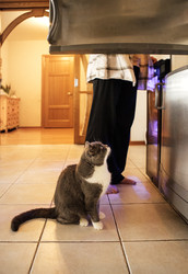 Similar image 22160200