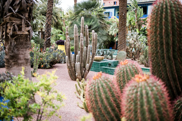 Similar image 22160216