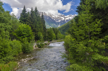 Similar image 22157824