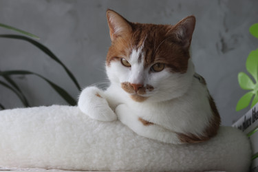 Similar image 22150544