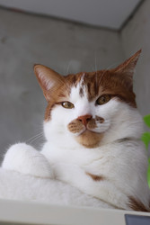 Similar image 22150547