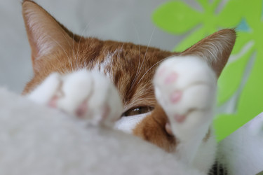 Similar image 22150549