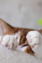 Similar image 22150550