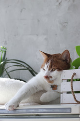 Similar image 22150551