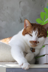 Similar image 22150553