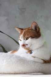 Similar image 22150554