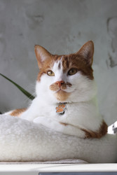 Similar image 22150556