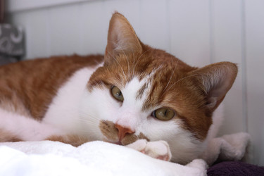 Similar image 22150557