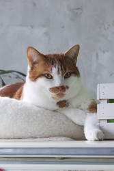 Similar image 22150558