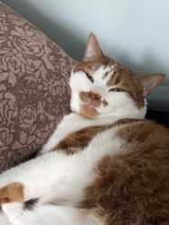 Similar image 22150559