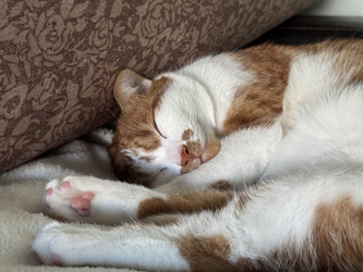 Similar image 22150561