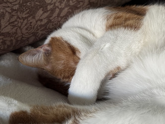 Similar image 22150562