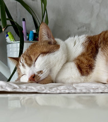 Similar image 22150564