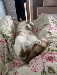 Similar image 22150567