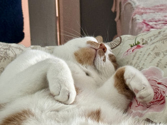 Similar image 22150569