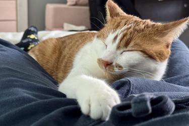 Similar image 22150571