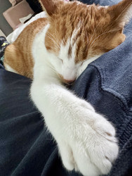 Similar image 22150572