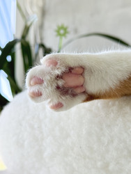 Similar image 22150576