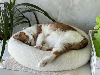 Similar image 22150578