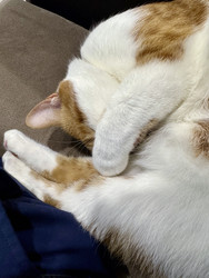 Similar image 22150579