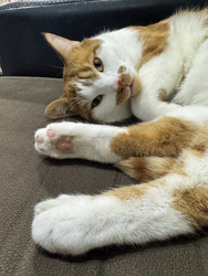 Similar image 22150580