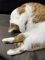 Similar image 22150581