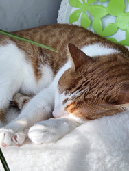 Similar image 22150583