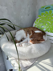 Similar image 22150584