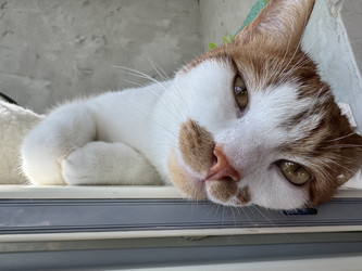 Similar image 22150587