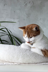 Similar image 22150588