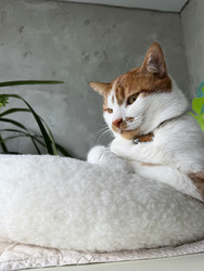 Similar image 22150589