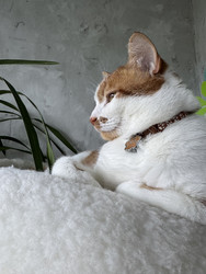 Similar image 22150590