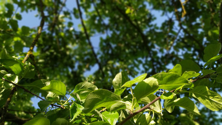 Similar image 22153599