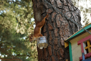 Similar image 22158945