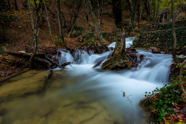 Similar image 22155684