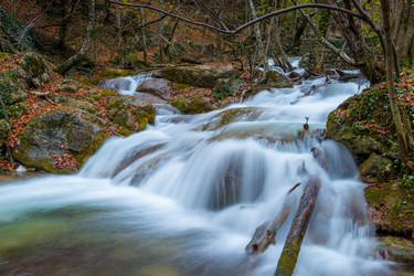 Similar image 22155687