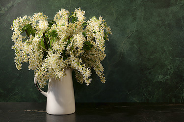 Similar image 22150176