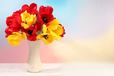 Similar image 22150178