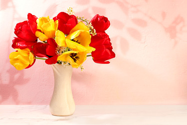 Similar image 22150180