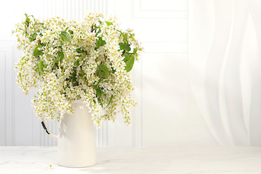 Similar image 22150182