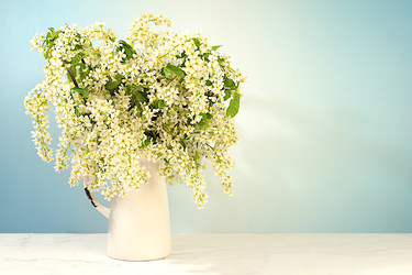 Similar image 22150186