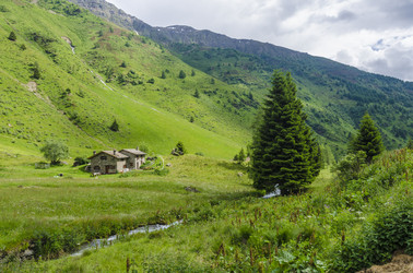 Similar image 22157839