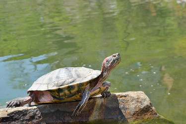 Similar image 22152974